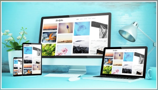 Portfolio hero showcase image